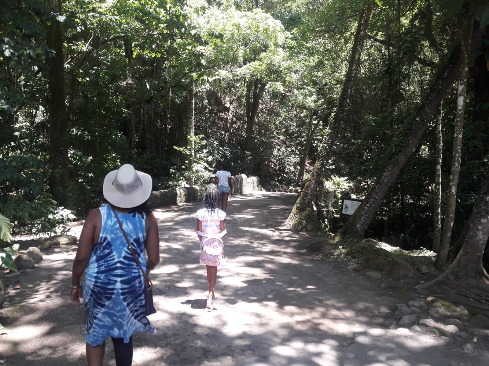 Guests walking through the lush rainforest