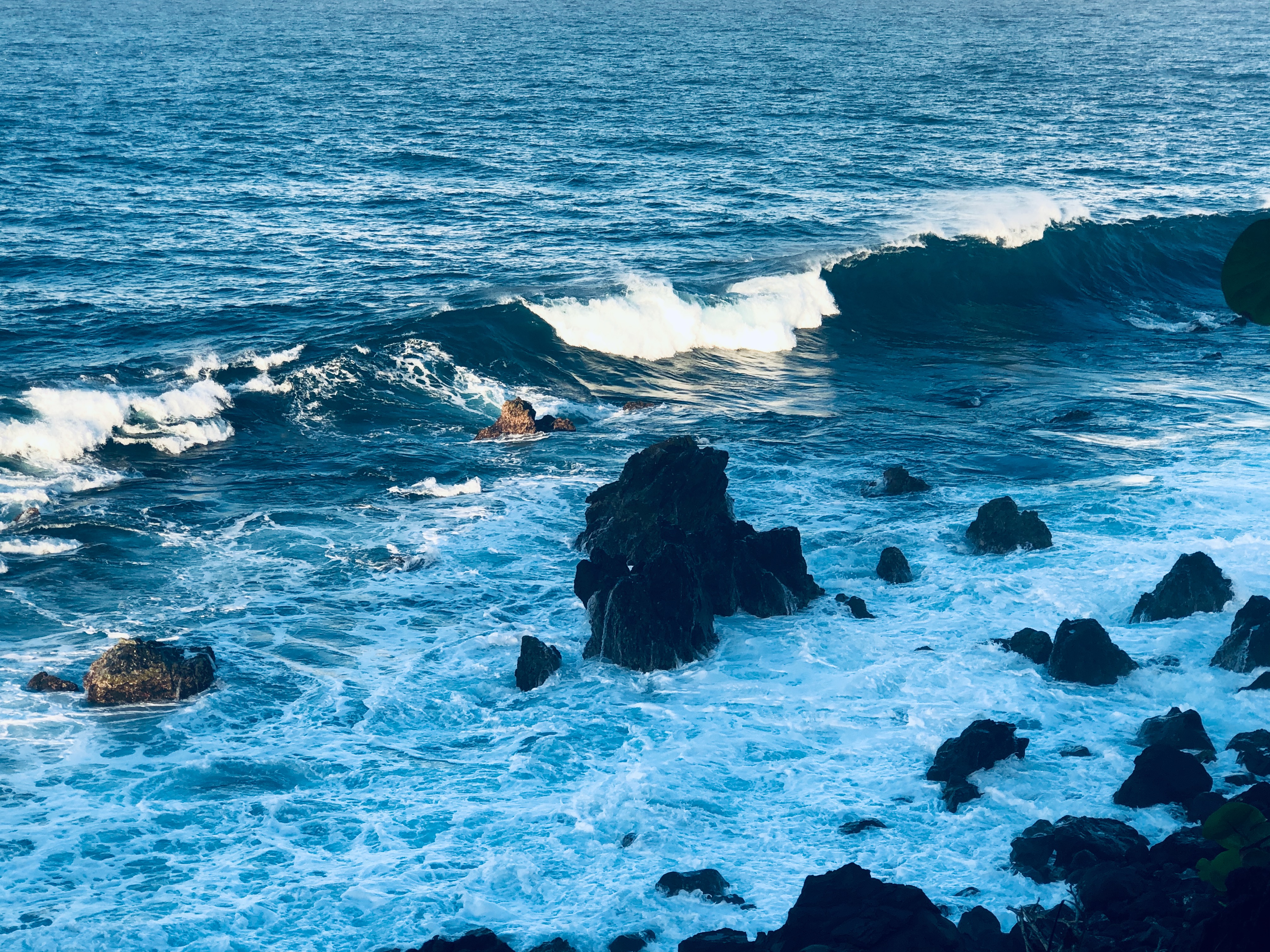 Black Rocks, a dramatic coastal landmark formed by ancient lava flows from Mt. Liamuiga