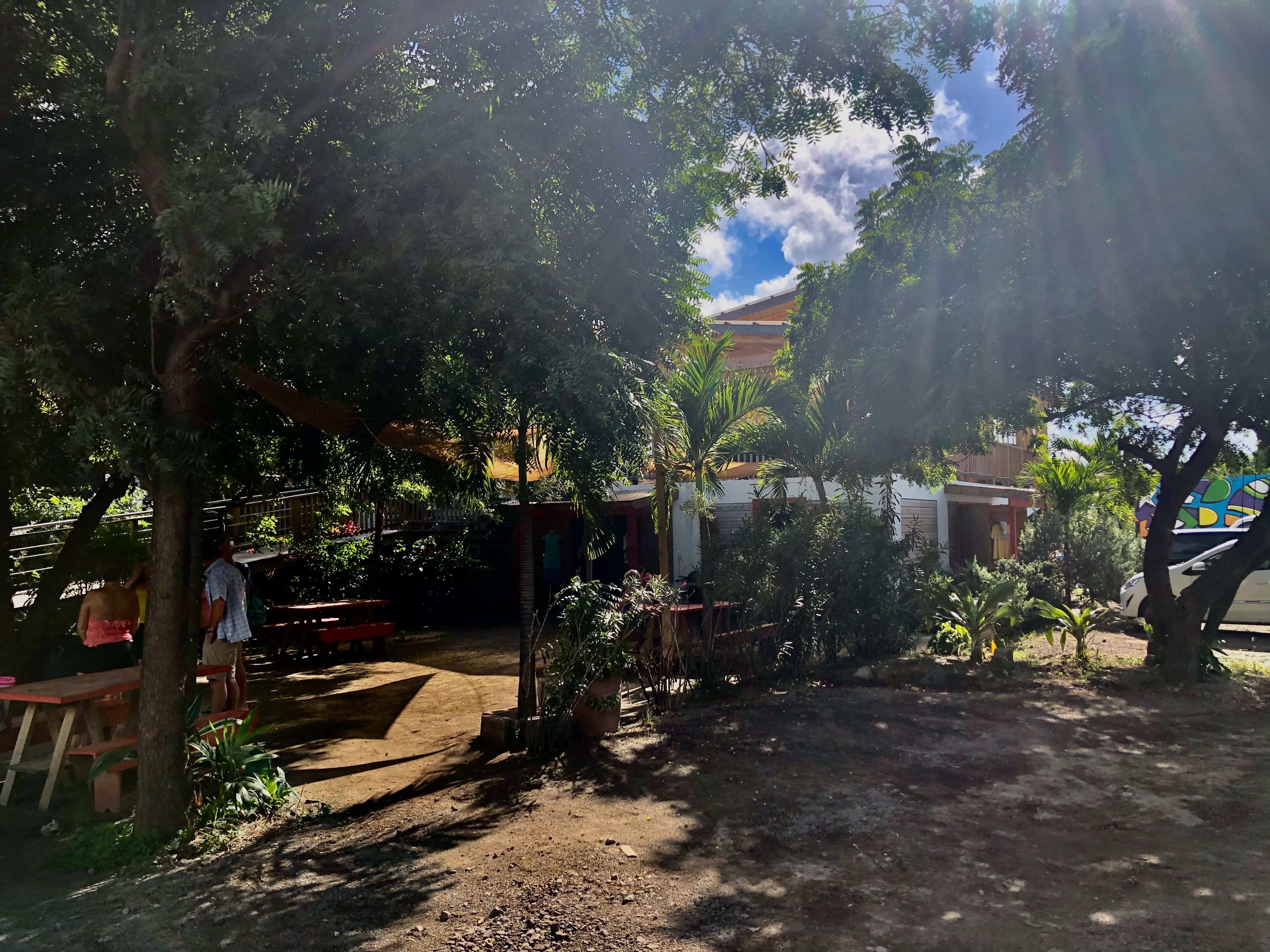 Local tropical garden stop on the tour