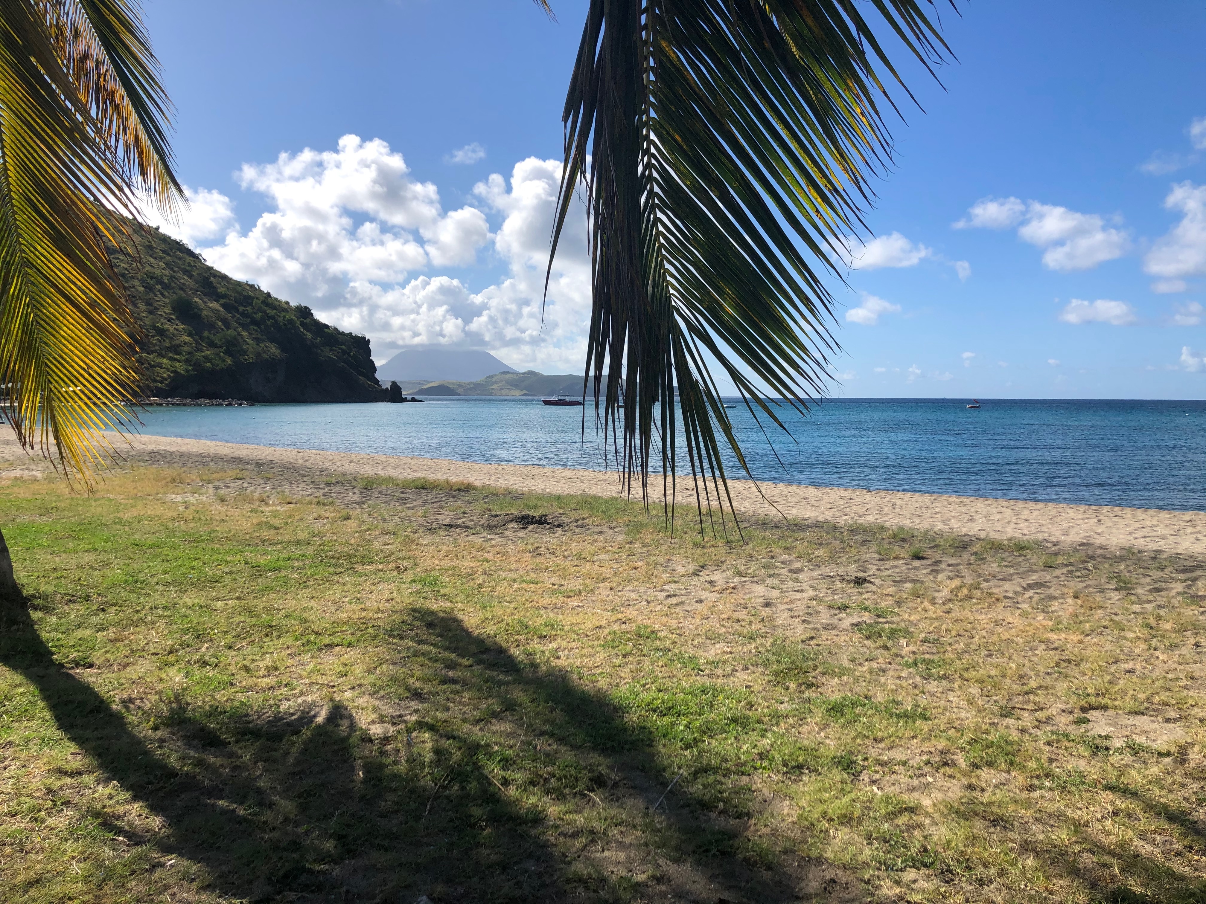 Quiet beach framed by palm trees and green hills