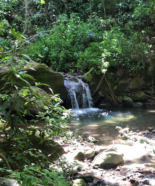 Hidden waterfall in the tropical rainforest